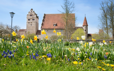 Bild-Nr: 12796547 Frühling in Dinkelsbühl Erstellt von: SusaZoom