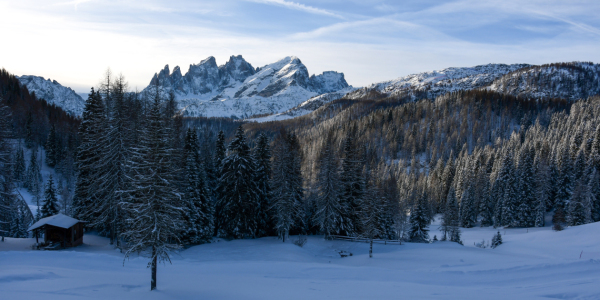 Bild-Nr: 12797096 Palagruppe Dolomiten Erstellt von: Bettina Schnittert