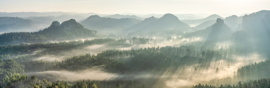 Bild-Nr: 12797624 Nebelmeer in der Sächsischen Schweiz Erstellt von: eyetronic