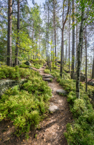 Bild-Nr: 12797784 Wandern auf dem Malerweg Erstellt von: eyetronic