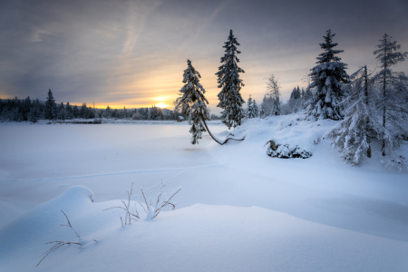 Bild-Nr: 12799722 Blick auf dem verschneiten Oderteich Erstellt von: Steffen Henze