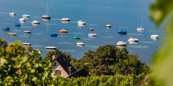 Bild-Nr: 12805186 Boote auf dem Bodensee in der Schweiz Erstellt von: dieterich