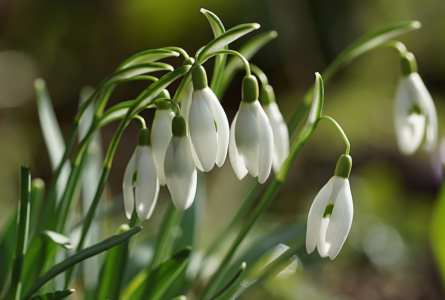 Bild-Nr: 12805232 Fröhlicher Frühling Erstellt von: youhaveadream