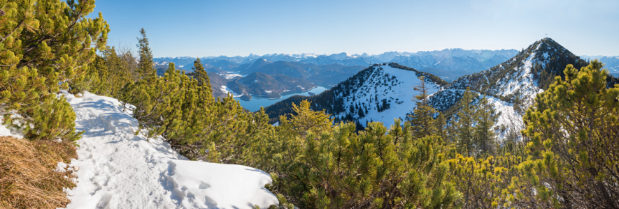 Bild-Nr: 12805559 Winterwanderung am Herzogstand Erstellt von: SusaZoom