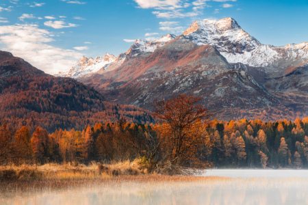 Bild-Nr: 12805844 Herbstmorgen am Silsersee Erstellt von: Daniela Beyer