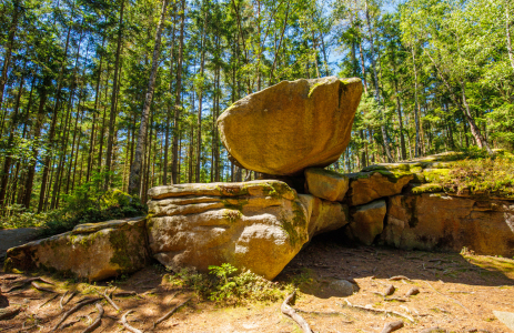 Bild-Nr: 12807107 Kraftplatz im Waldviertel Erstellt von: wompus