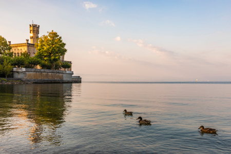 Bild-Nr: 12809833 Schloss Montfort in Langenargen am Bodensee Erstellt von: dieterich