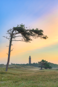 Bild-Nr: 12811064 Windflüchter beim Leuchtturm Darßer Ort Erstellt von: Michael Valjak