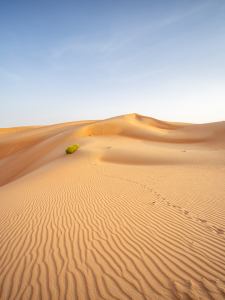 Bild-Nr: 12811094 Sanddüne im Empty Quarter in Abu Dhabi Erstellt von: eyetronic