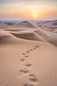 Bild-Nr: 12811131 Sonnenuntergang in der Wüste Erstellt von: eyetronic