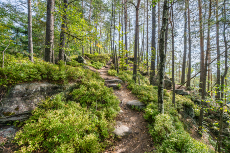 Bild-Nr: 12811651 Malerweg in der Sächsischen Schweiz Erstellt von: eyetronic