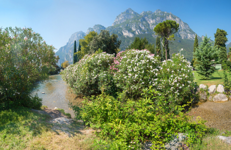 Bild-Nr: 12811837 Parklandschaft Riva del Garda Erstellt von: SusaZoom