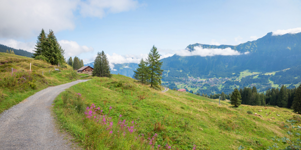 Bild-Nr: 12811839 Wanderweg von Mürren zur Grütschalp Erstellt von: SusaZoom