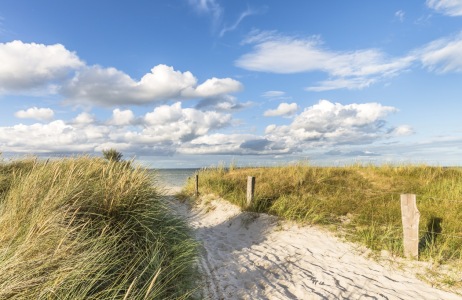 Bild-Nr: 12812221 Ostsee  Dünenweg Erstellt von: Ursula Reins