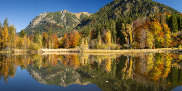 Bild-Nr: 12812862 Herbst am Moorweiher Erstellt von: Walter G. Allgöwer