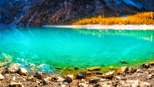 Bild-Nr: 12812982 HERBST PARADIES Erstellt von: Simon-Schuhmacher-Photography