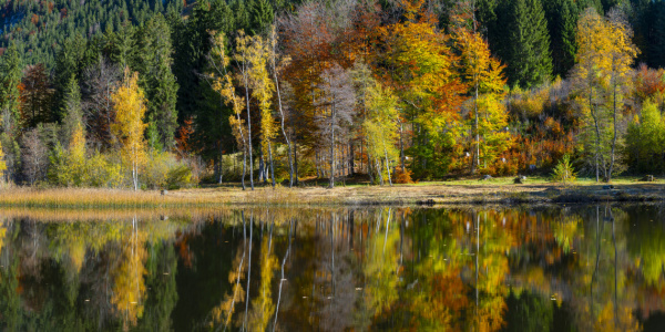 Bild-Nr: 12813074 Herbst im Oberallgäu Erstellt von: Walter G. Allgöwer