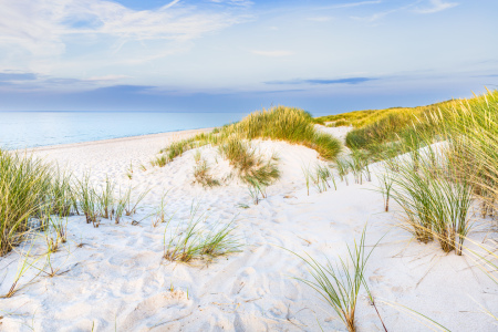 Bild-Nr: 12813331 Sylter Dünenstrand    Erstellt von: Ursula Reins