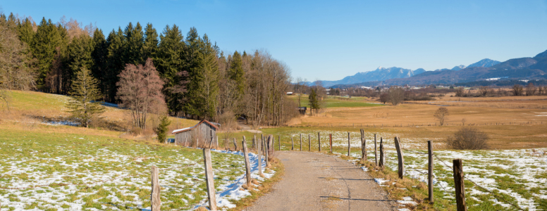 Bild-Nr: 12813627 Wanderweg am Murnauer Moos Erstellt von: SusaZoom