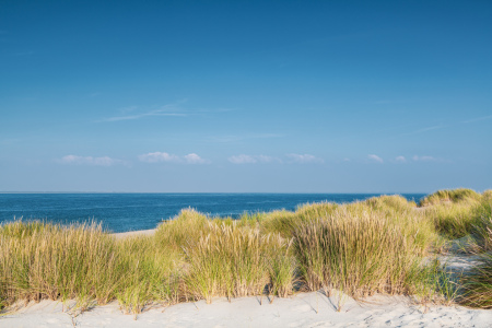 Bild-Nr: 12813630 Sylt Blickrichtung Dänemark Erstellt von: Ursula Reins