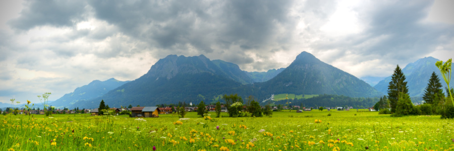 Bild-Nr: 12813778 Sommerwiese im Oberallgäu Erstellt von: Walter G. Allgöwer