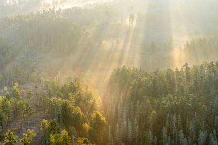 Bild-Nr: 12814033 Morgennebel in der Sächsischen Schweiz Erstellt von: eyetronic