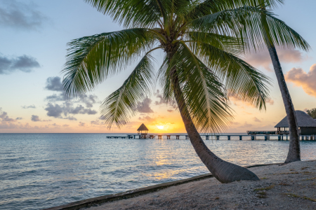 Bild-Nr: 12814249 Sonnenuntergang am Palmenstrand Erstellt von: eyetronic