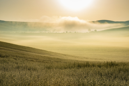 Bild-Nr: 12814357 Sonnenaufgang in der Crete Senesi Erstellt von: Walter G. Allgöwer