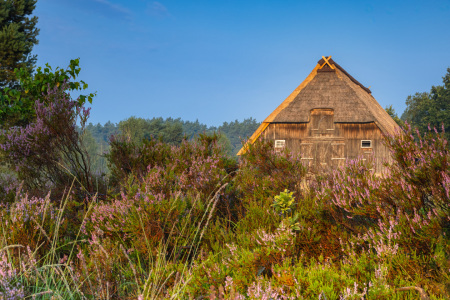 Bild-Nr: 12814395 Schafstall in der Lüneburger Heide Erstellt von: Daniela Beyer