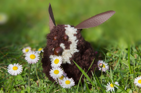 Bild-Nr: 12815532 Osterhasi mit Gänseblümchen Erstellt von: SusaZoom