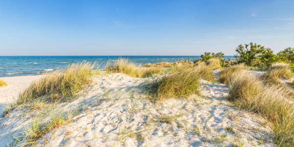 Bild-Nr: 12815665 Frühling in den Dünen und Ostseewellen Erstellt von: Ursula Reins