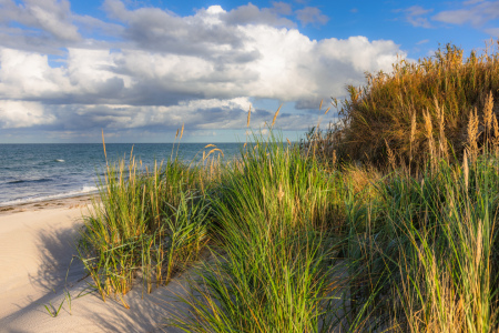 Bild-Nr: 12815768 Nordstrand Darß am Nachmittag Erstellt von: Daniela Beyer