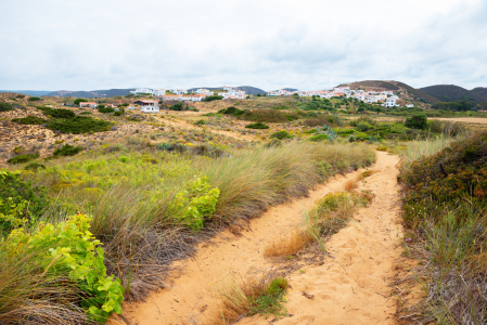 Bild-Nr: 12816240 Dünenweg nach Carrapateira Portugal Erstellt von: SusaZoom