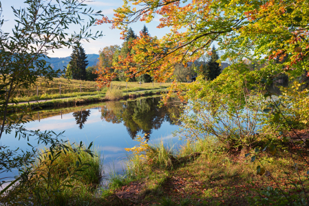 Bild-Nr: 12816511 Herbst am Weiher Erstellt von: SusaZoom