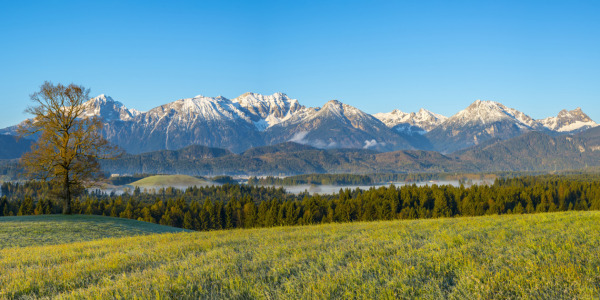 Bild-Nr: 12816567 Morgenstimmung im Ostallgäu bei Füssen Erstellt von: Walter G. Allgöwer