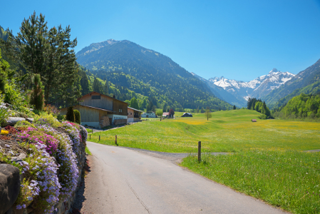 Bild-Nr: 12816678 Frühling im Trettachtal Oberstdorf Erstellt von: SusaZoom