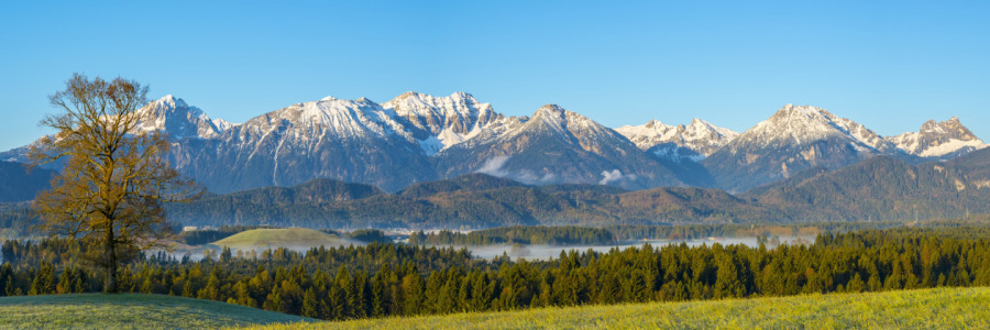 Bild-Nr: 12816701 Tannheimer Berge Erstellt von: Walter G. Allgöwer