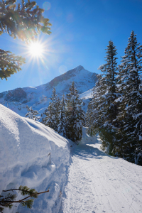 Bild-Nr: 12816849 Winterweg mit Alpspitzblick Erstellt von: SusaZoom