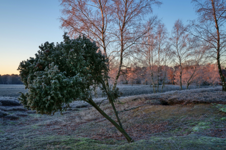 Bild-Nr: 12817048 Farben am frühen morgen Erstellt von: volker heide