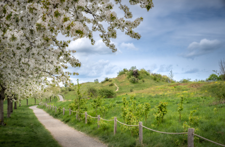 Bild-Nr: 12817417 Frühling an der Teufelsmauer Erstellt von: Steffen Henze