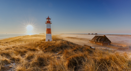 Bild-Nr: 12817736 Sylter Leuchtturm in den Dünen Erstellt von: Ursula Reins