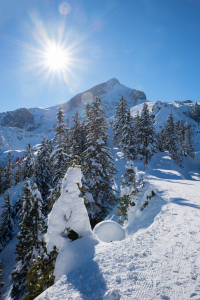 Bild-Nr: 12817775 Alpspitze im Winter Erstellt von: SusaZoom