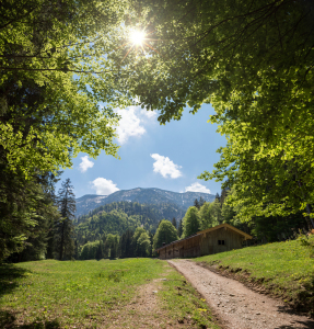 Bild-Nr: 12817842 Wanderweg Kreuth Erstellt von: SusaZoom