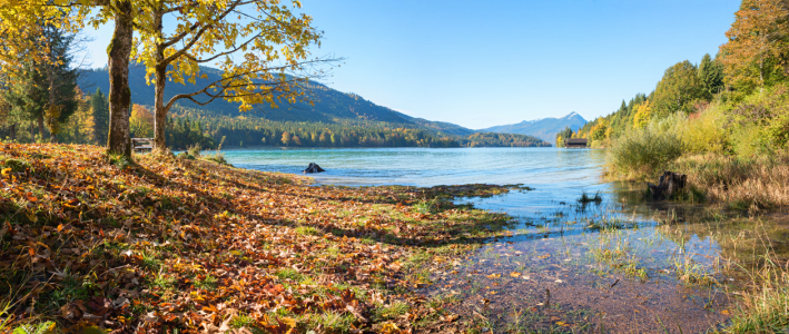 Bild-Nr: 12818017 Herbst am Walchensee Erstellt von: SusaZoom
