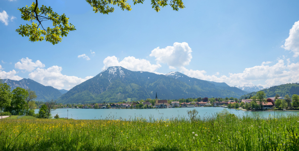 Bild-Nr: 12818036 Alpenfrühling Rottach-Egern Erstellt von: SusaZoom