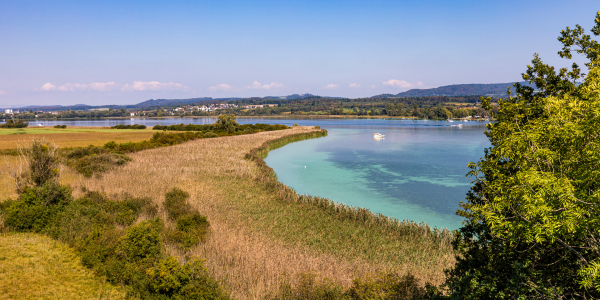 Bild-Nr: 12818046 Naturschutzgebiet Halbinsel Mettnau am Bodensee Erstellt von: dieterich