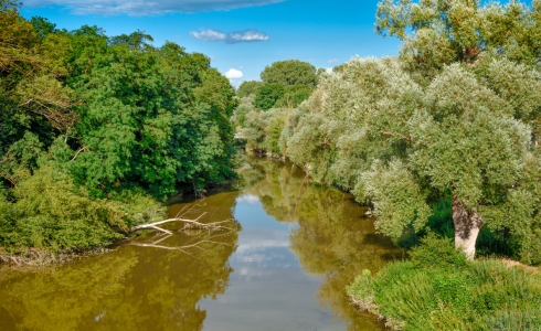 Bild-Nr: 12818124 An der Donau Erstellt von: Gregor Handy