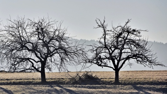 Bild-Nr: 12818231 Winter Melancholie Erstellt von: Schwob