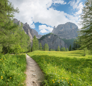 Bild-Nr: 12819214 Wanderweg Pisciadu Dolomiten Erstellt von: SusaZoom