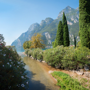 Bild-Nr: 12819215 Park in Riva am Gardasee Erstellt von: SusaZoom